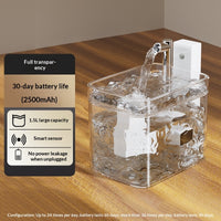 Fully Transparent